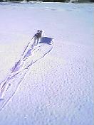 c0052563_21445971.jpg