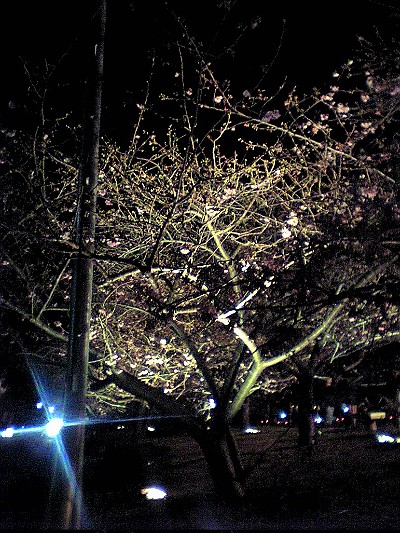 c0024265_10402121.jpg