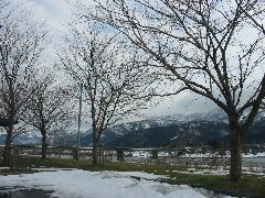 b0039373_051663.jpg