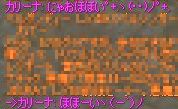 b0038576_14364288.jpg