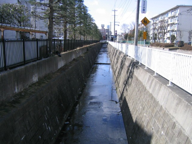 a0030217_20232794.jpg