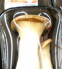 a0003618_121366.jpg