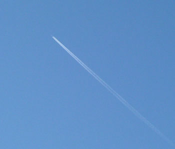 b0058229_101339.jpg