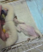 c0035931_8494251.jpg