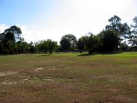 c0035836_7215928.jpg