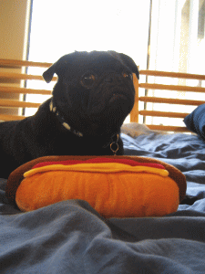 b0035453_1927139.gif