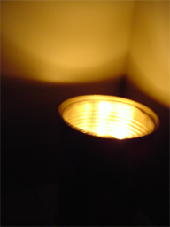 c0006904_13132639.jpg