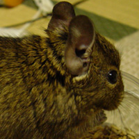 c0005835_2146235.jpg