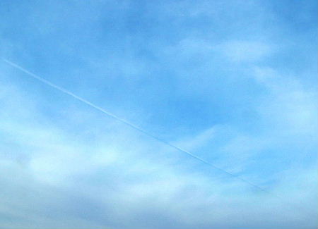 b0015260_1650672.jpg