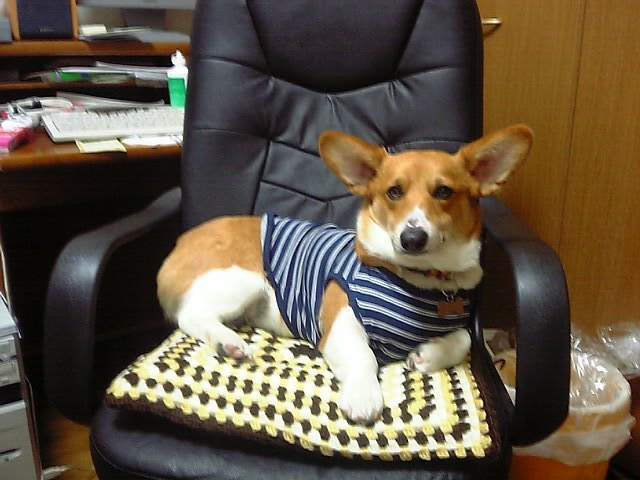 a0024004_2128268.jpg
