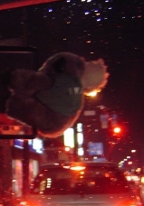 c0052304_3431673.jpg