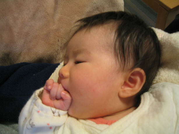 c0029911_6495968.jpg