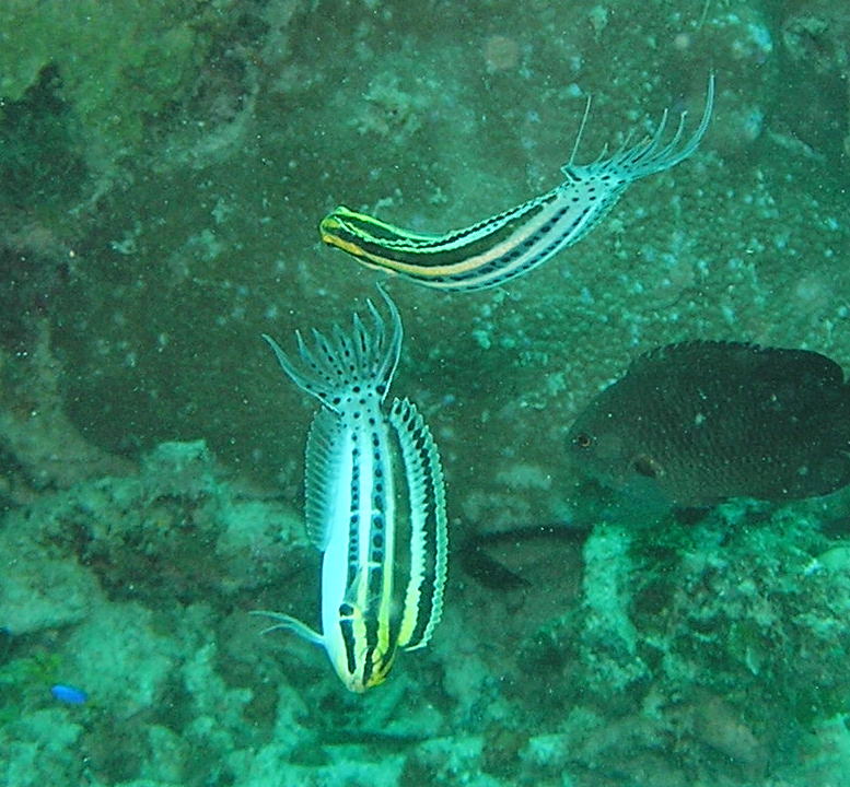 c0034029_2320951.jpg