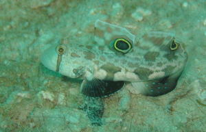 c0034029_2325466.jpg