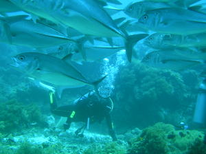 c0034029_2345993.jpg