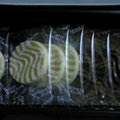 b0030935_21465764.jpg