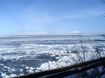 a0016775_2340367.jpg
