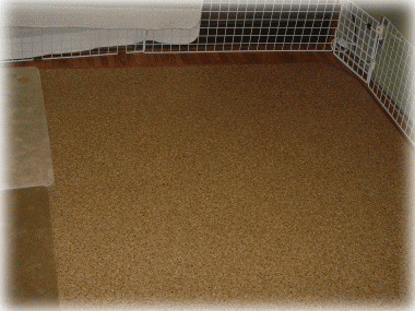 b0055276_23415560.gif