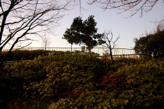 b0053019_23592117.jpg