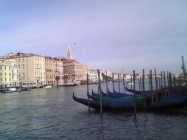 b0061320_16132429.jpg