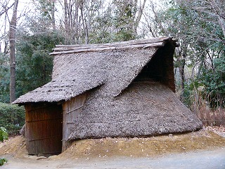 b0009029_104217.jpg