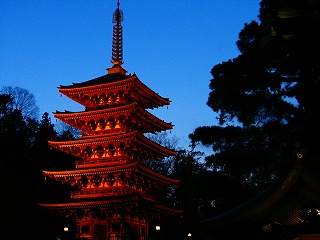b0009029_107866.jpg