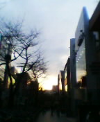 c0026178_12254351.jpg