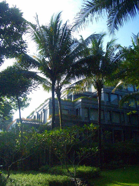 b0010882_234847100.jpg