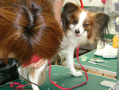 c0044199_16261050.jpg