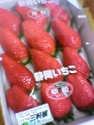 c0056903_14332012.jpg