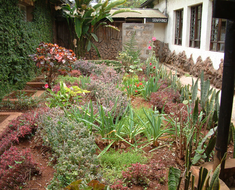 b0016623_2293971.jpg