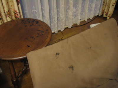 b0054330_21341341.jpg