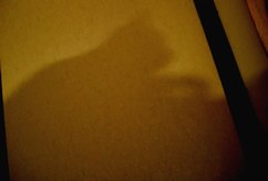 b0058936_20242289.jpg