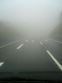 b0058840_847677.jpg
