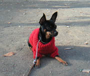 c0012571_1202421.jpg