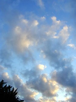 b0001980_811116.jpg