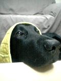 c0040702_22592747.jpg