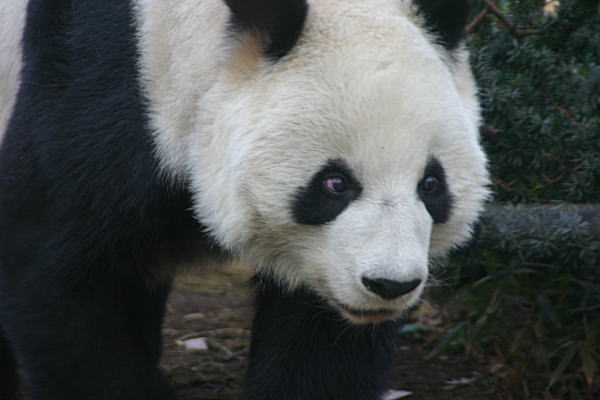 a0017618_2242294.jpg