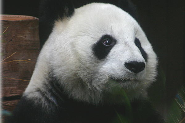 a0017618_22584651.jpg