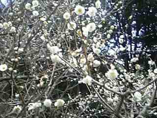b0058840_18111374.jpg