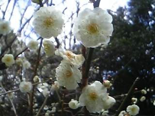 b0058840_18113499.jpg