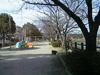 b0058840_1811925.jpg