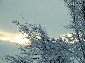 b0015260_732464.jpg