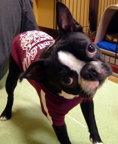 c0032567_2059462.jpg