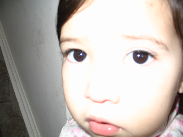 c0030479_559243.jpg