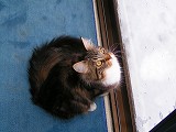b0006801_20265763.jpg