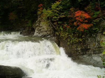 c0055304_2021639.jpg