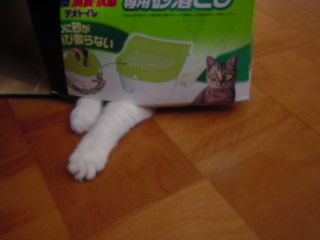 c0024410_22424940.jpg
