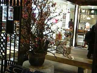 b0058840_1518387.jpg