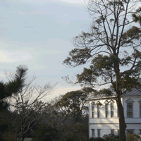 c0062361_1143810.gif